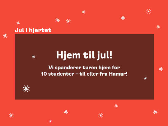Hjem til jul! Hamar kommune spanderer turen.